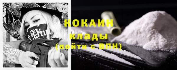 ПСИЛОЦИБИНОВЫЕ ГРИБЫ Белокуриха
