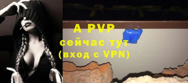сатива Белоозёрский