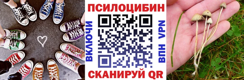 Псилоцибиновые грибы мицелий Берёзовский
